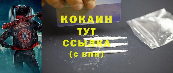 стаф Осташков
