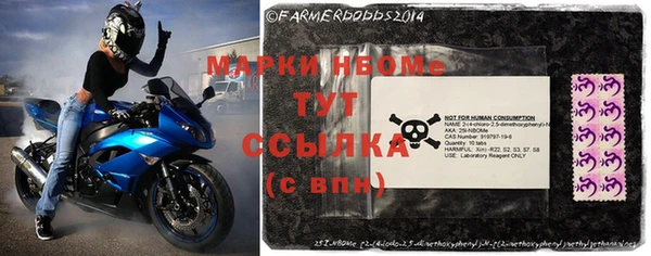 стаф Осташков