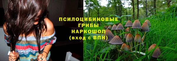 mix Осинники