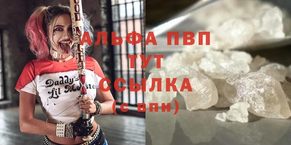 стаф Осташков