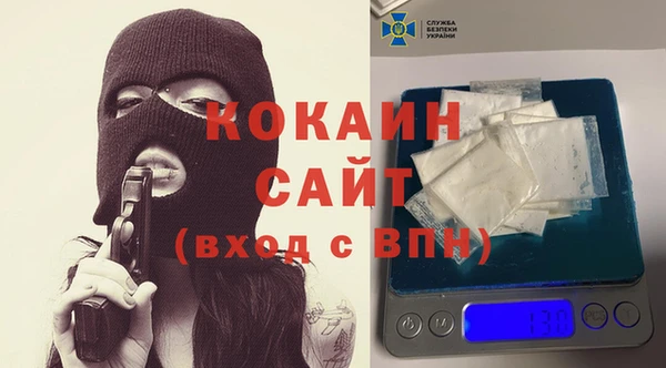 стаф Осташков